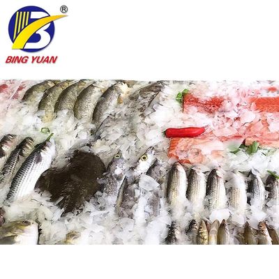 آلة صنع شرائح الثلج الصناعية الأوتوماتيكية بالكامل