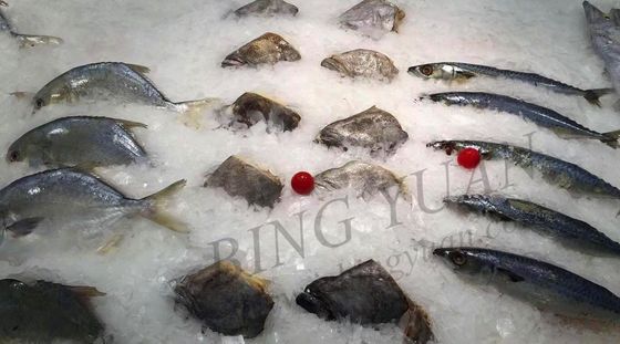 آلة صنع شرائح الثلج بسعة 30 طن يوميًا ، صانع ثلج أوتوماتيكي موفر للطاقة